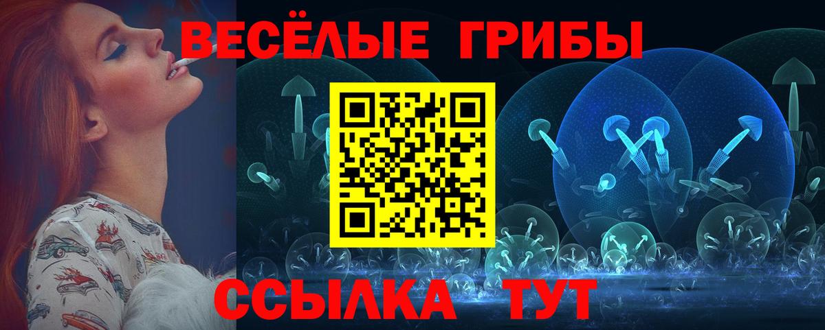 как найти   Галлюциногенные грибы мухоморы  Вход с VPN  Бугуруслан 